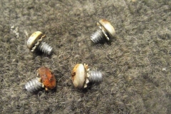 173 screws will be restored
