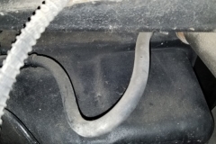 114 incorrect rear brake hose