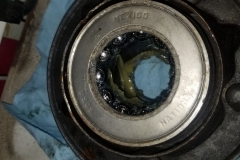 166 bearings as removed