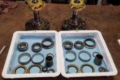 157 new bearings measured for setup