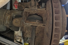 123